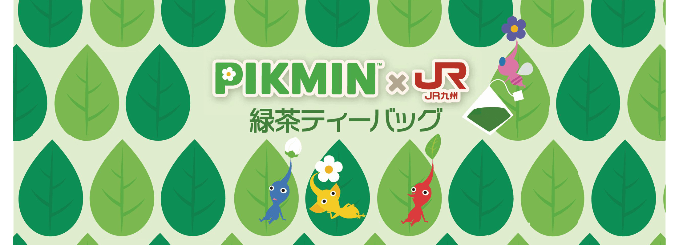 PIKUMIN×JR九州_緑茶ティーバッグPC